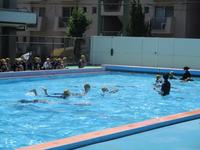 IMG_6492.JPG