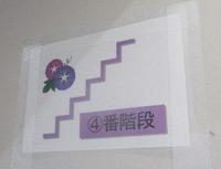 IMG_6687.JPG
