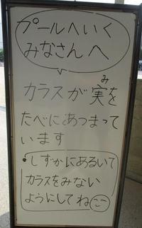 IMG_6793.JPG