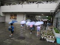 IMG_6574.JPG