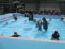 IMG_6736.JPG