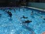 DSCF6872.JPG