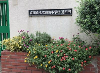 image1.jpeg