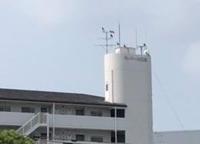image1.jpeg