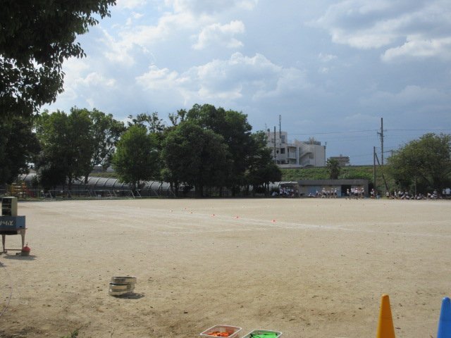 IMG_0495.JPG