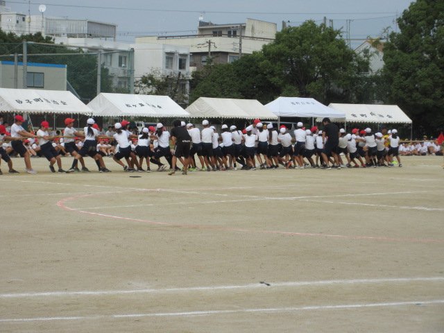 IMG_0510.JPG