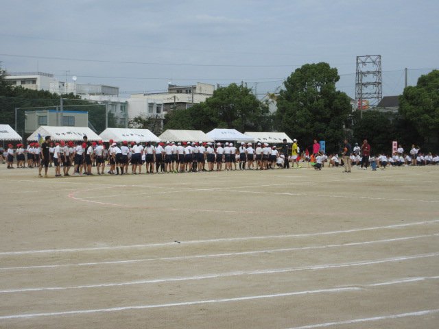 IMG_0508.JPG