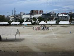 IMG_0727.JPG