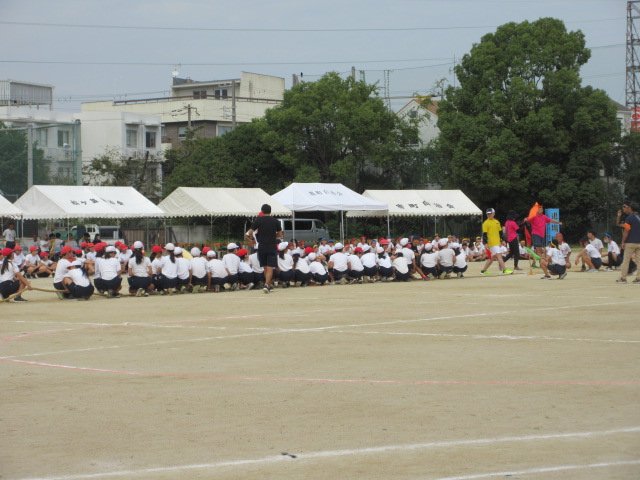 IMG_0509.JPG