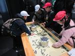 IMG_1528.JPG