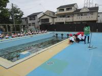 IMG_2315.JPG