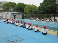 IMG_2316.JPG
