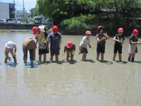 IMG_3969.JPG