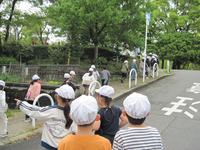 IMG_2237.JPG