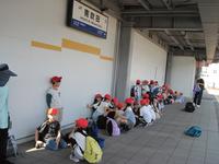 IMG_2253.JPG