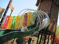 IMG_2260.JPG