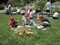 IMG_2272.JPG
