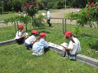 IMG_2273.JPG