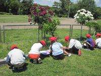IMG_2274.JPG