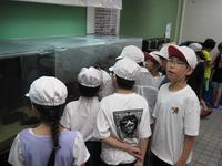 IMG_2520.JPG