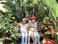 IMG_2594.jpg