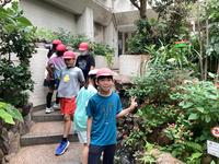 IMG_2611.jpg