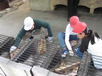 IMG_2787.JPG