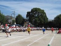 IMG_2933.JPG