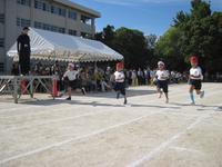 IMG_2946.JPG