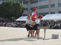 IMG_2960.JPG
