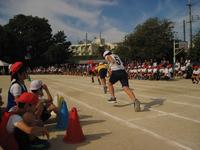 IMG_2973.JPG