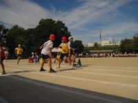 IMG_2991.JPG