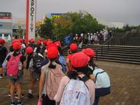 IMG_3071.JPG