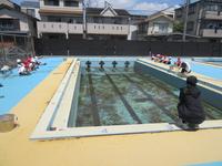 IMG_3703.JPG