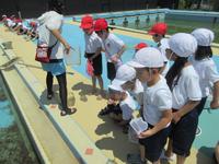IMG_3704.JPG