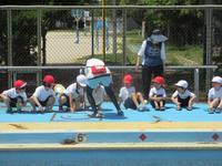 IMG_3705.JPG
