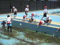 IMG_3710.JPG