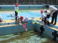 IMG_3711.JPG