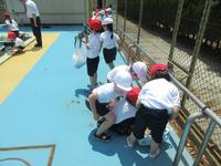 IMG_3713.JPG
