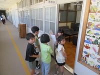 IMG_3746.JPG