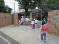 IMG_3778.JPG
