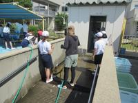 IMG_3799.JPG