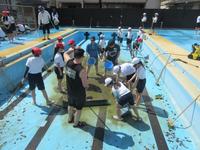 IMG_3802.JPG