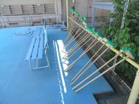 IMG_3822.JPG