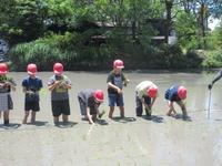 IMG_3975.JPG