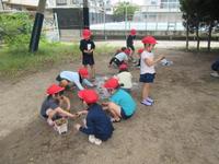 IMG_4031.JPG