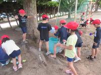 IMG_4033.JPG