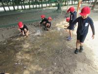 IMG_4034.JPG