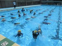 IMG_4070.JPG