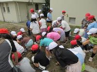 IMG_4151.JPG